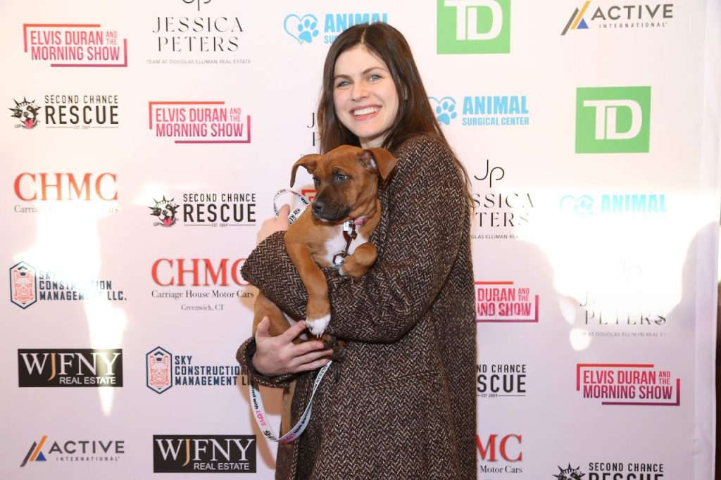 Alexandra Daddario Dazzles in Midnight Glamour at NYC’s 2025 Rescue Ball